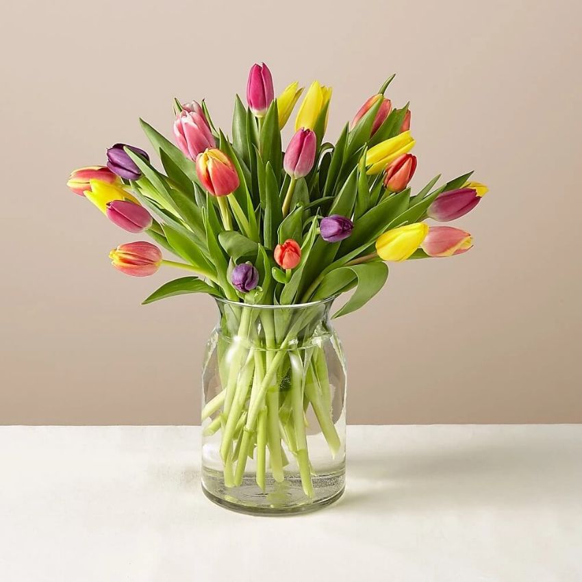15 Stem Spring Breeze Multicolored Tulip Bouquet With Vase Flower Bouquet