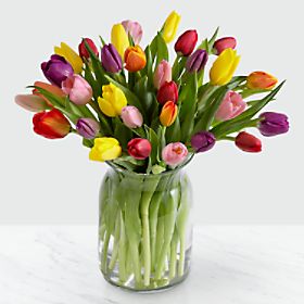 Rush of Color Assorted Tulip Bouquet - 30 Stems - Vase Included