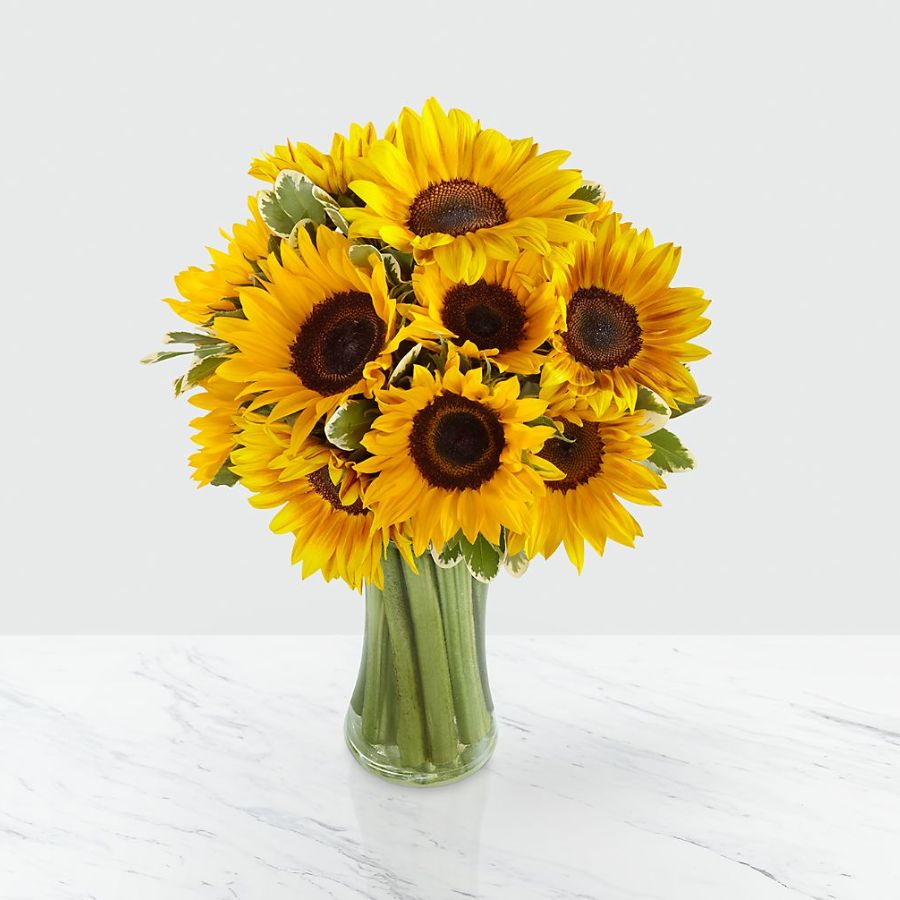 Endless Summer Sunflower Bouquet - 15 Stems - Vase Included Flower Bouquet