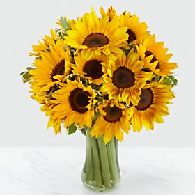 Endless Summer Sunflower Bouquet - 15 Stems - Vase Included