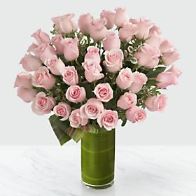 Delighted Luxury Rose Bouquet - 24-inch Premium Long-Stemmed Roses