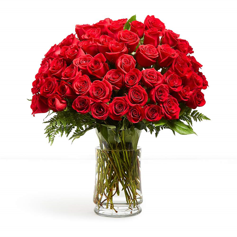 Love Knows No Bounds - 5 Dozen Red Roses Flower Delivery ...