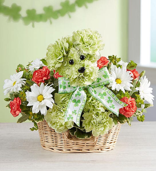 Lucky Flower Delivery Glendale AZ - Elite Flowers & Gifts