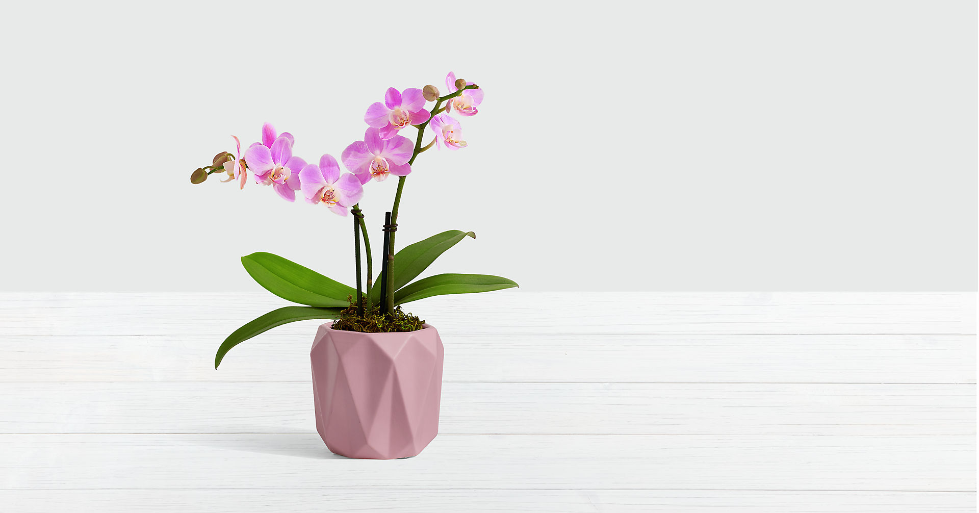 Pink Mini Orchid Flower Bouquet