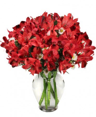 Passionate Peruvian Lily Flower Bouquet