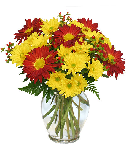 Red Rover Yellow Daisy Flower Bouquet