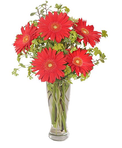 Ritzy Red Gerberas Flower Bouquet