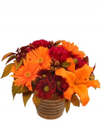 Rustic Orange And Cranberry Flower