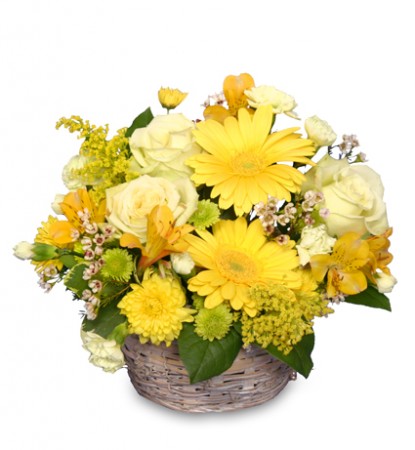 Sunny Flower Patch - Yellow Flower Basket