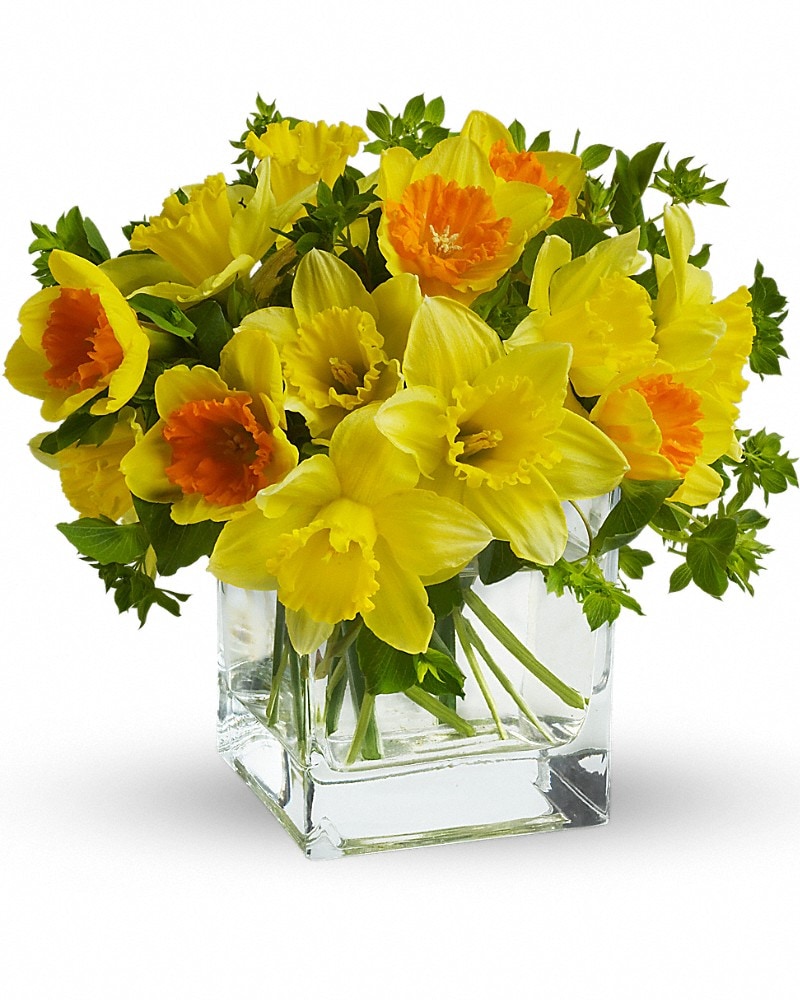 Teleflora's Daffodil Dreams Flower Bouquet