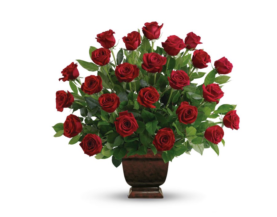 Red Rose Tribute Urn