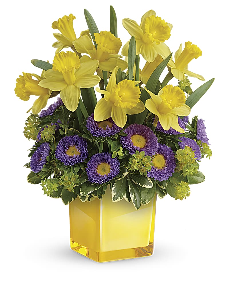 Teleflora's Playful Springtime Daffodil Bouquet
