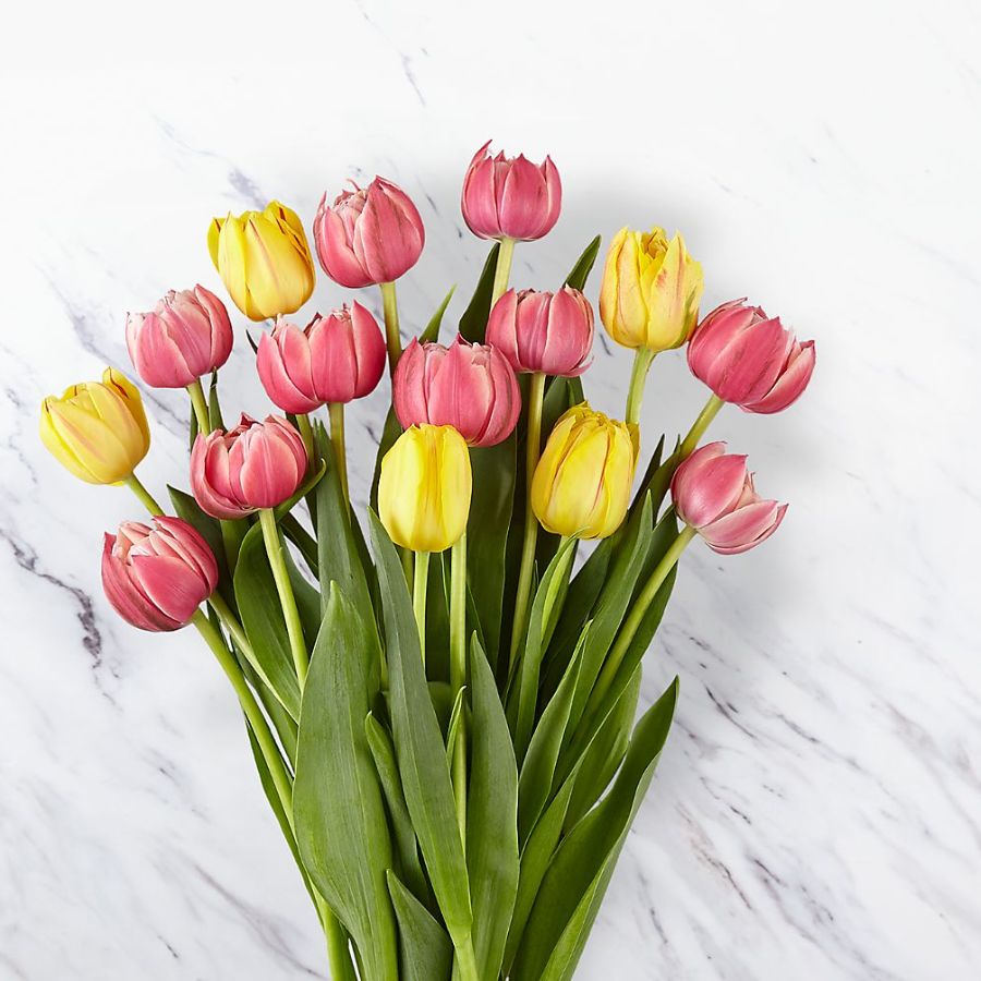 20 Sunny Spring Tulips with Vase