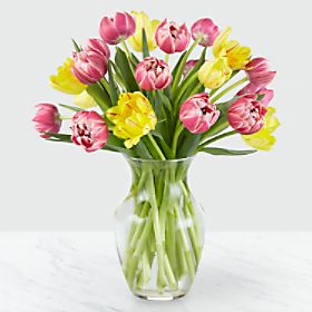 20 Sunny Spring Tulips with Vase