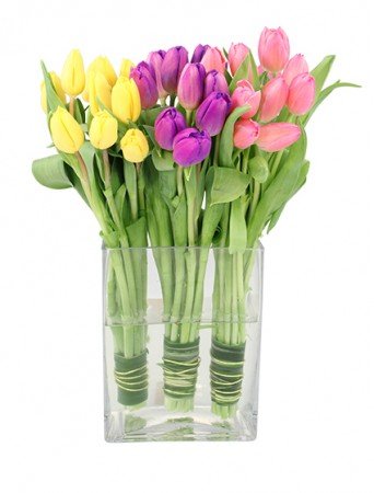 Tulip Trio Flower Bouquet