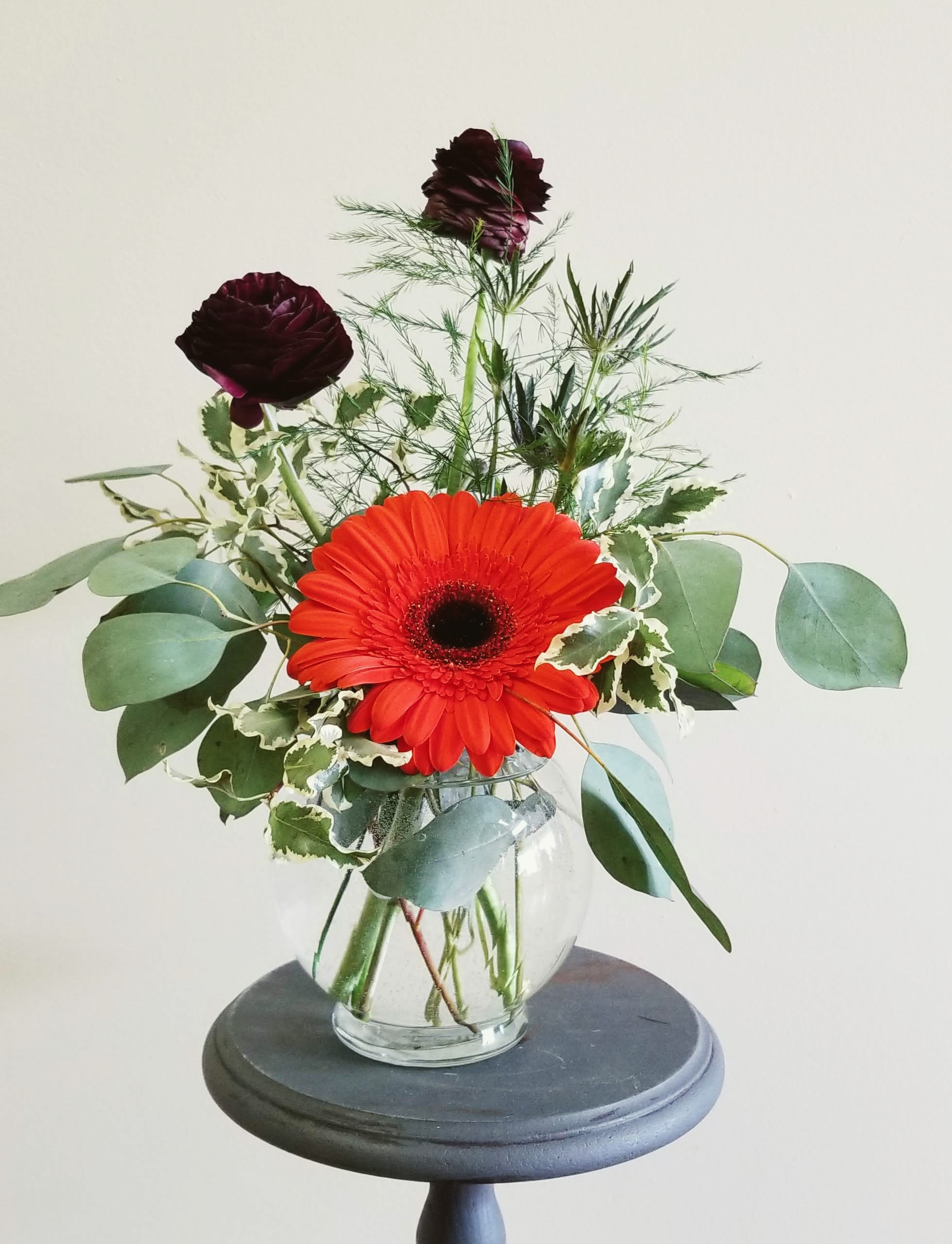 The Great Gerbera - Orange