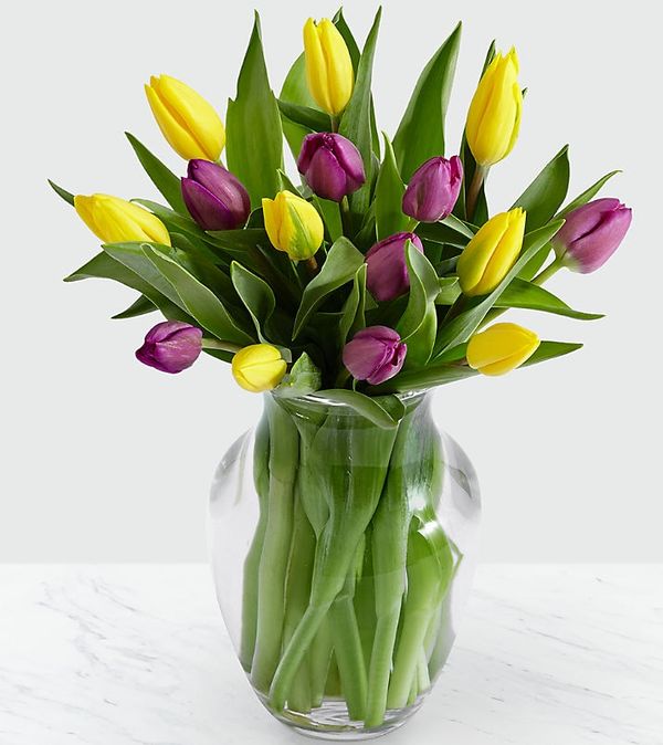 Royal Dutch Tulips