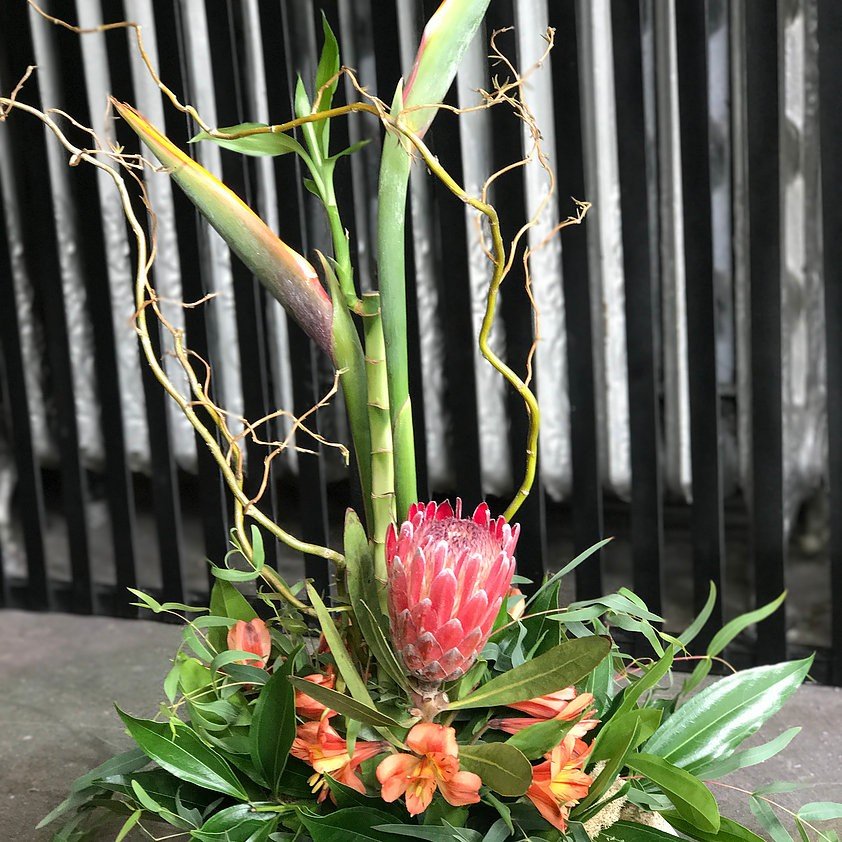 Birds Of Paradise With Bamboo & Protea