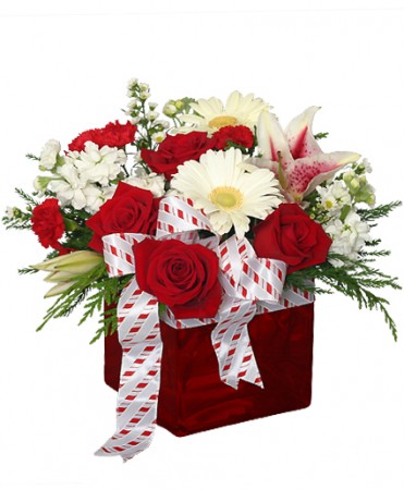 CHRISTMAS RIBBON & ROSES Bouquet