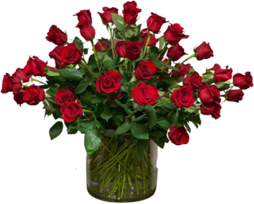 dozen-red-roses