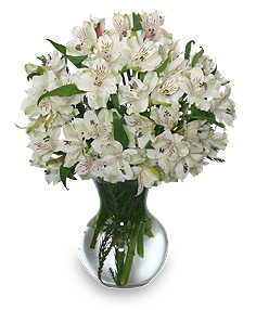 FLEECY WHITE Flower  Arrangement