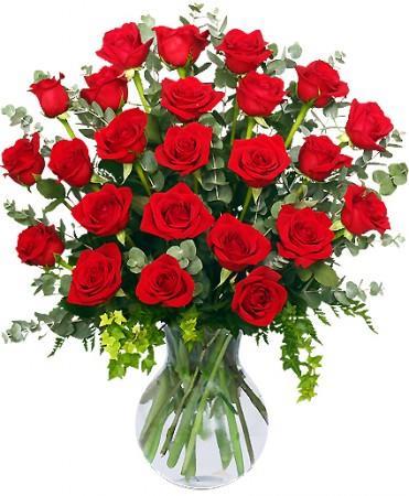 24 RADIANT ROSES Flower Bouquet
