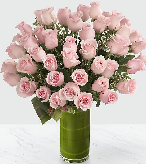 Delighted Luxury Rose Bouquet - 24-inch Premium Long-Stemmed Roses