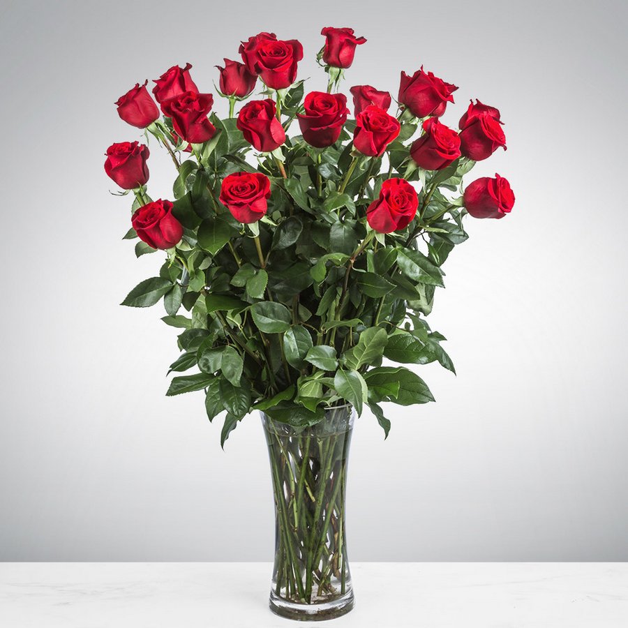 Two Dozen Long Stemmed Roses By BloomNation™