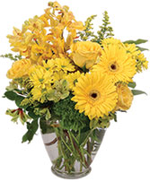 DIVINELY GOLDEN
Flower Arrangement