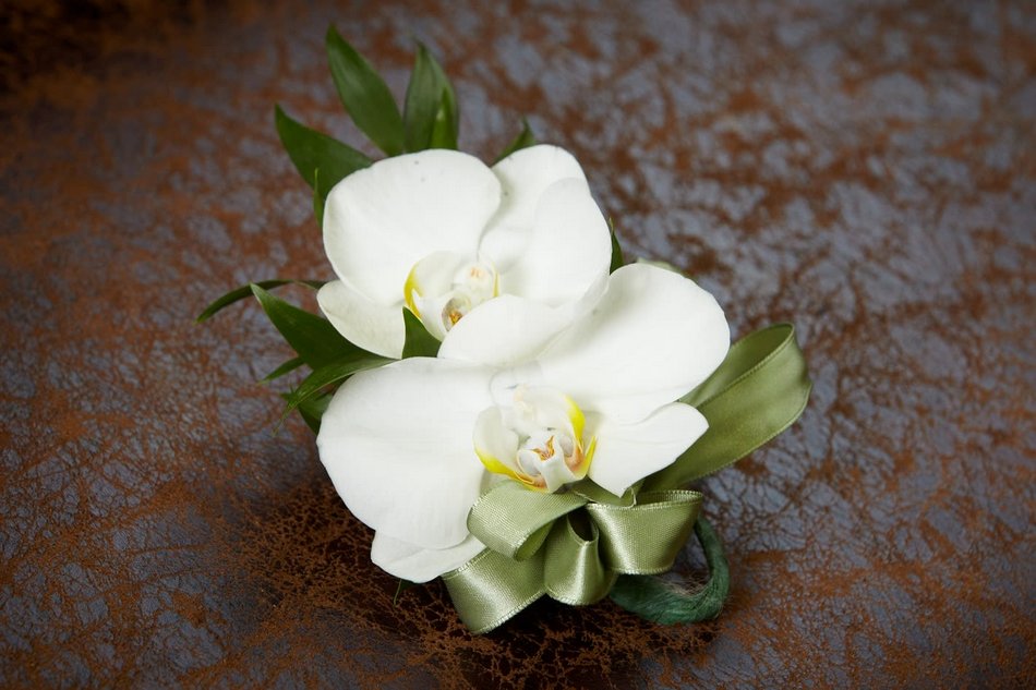 White Phalaenopsis Orchid Corsage in Grand Rapids, MI | Daylily Floral ...